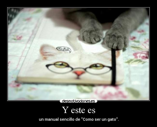 Y este es - un manual sencillo de Como ser un gato.