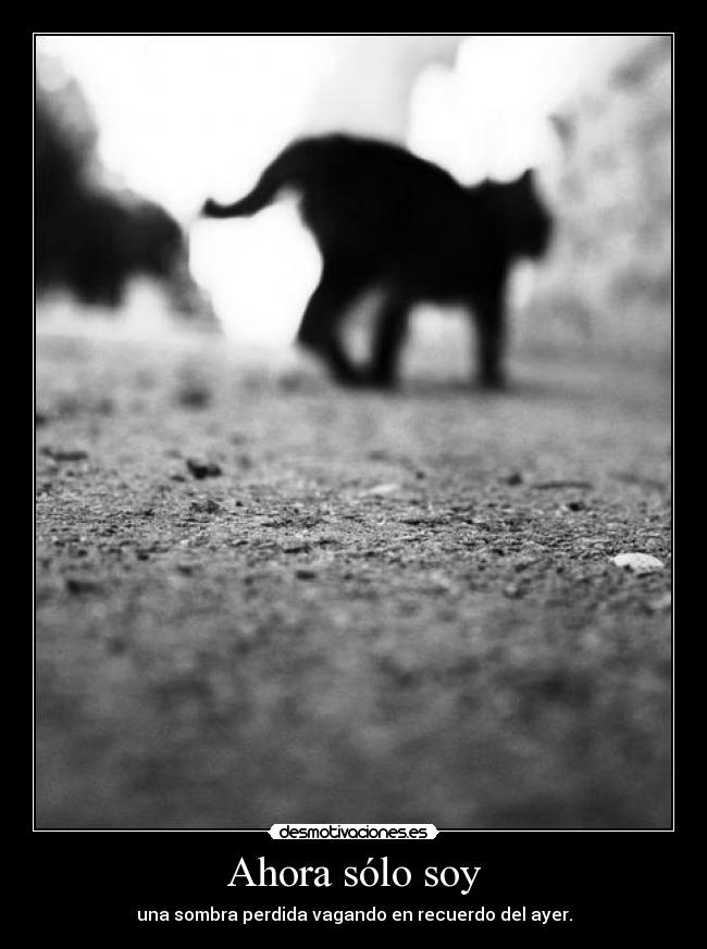 Ahora sólo soy - una sombra perdida vagando en recuerdo del ayer.