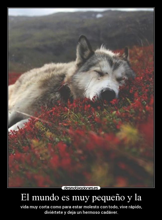 El mundo es muy pequeño y la -