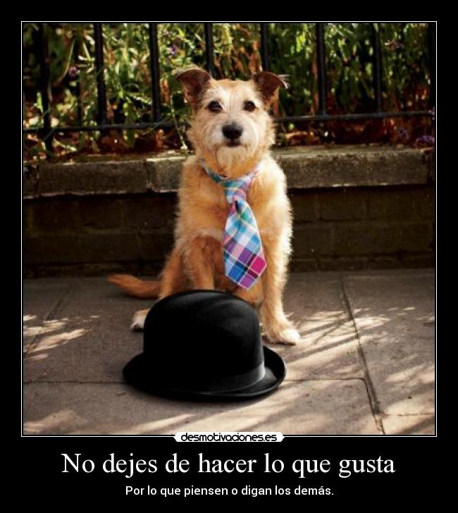 No dejes de hacer lo que gusta - 