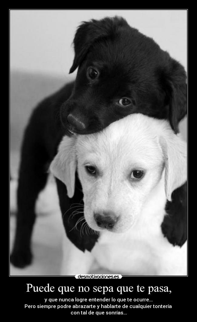 Puede que no sepa que te pasa, - y que nunca logre entender lo que te ocurre...
Pero siempre podre abrazarte y hablarte de cualquier tontería
con tal de que sonrías...
