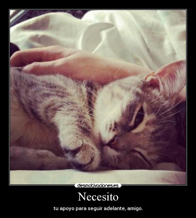 Necesito - 