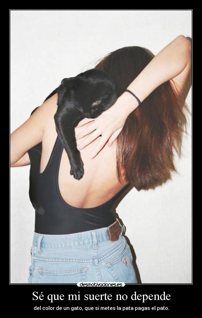 Sé que mi suerte no depende - del color de un gato, que si metes la pata pagas el pato.