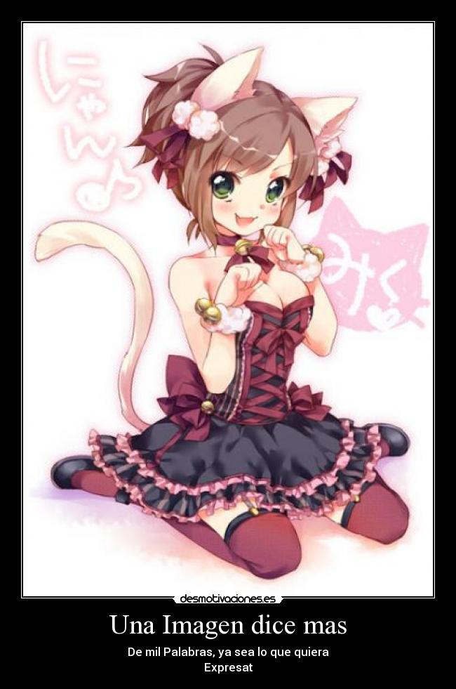 Una Imagen dice mas - De mil Palabras, ya sea lo que quiera
Expresat