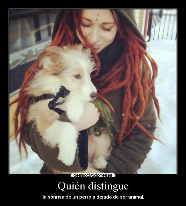 carteles andres92 carteles rasta quiero princi rasta desmotivaciones