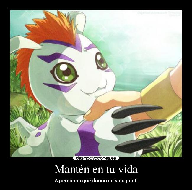 Mantén en tu vida - 