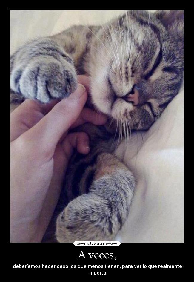 A veces, - deberíamos hacer caso los que menos tienen, para ver lo que realmente importa