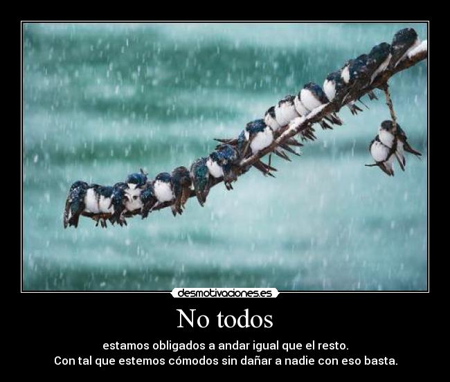 No todos - estamos obligados a andar igual que el resto.
Con tal que estemos cómodos sin dañar a nadie con eso basta.