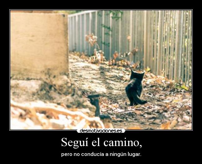 Seguí el camino, - pero no conducía a ningún lugar.