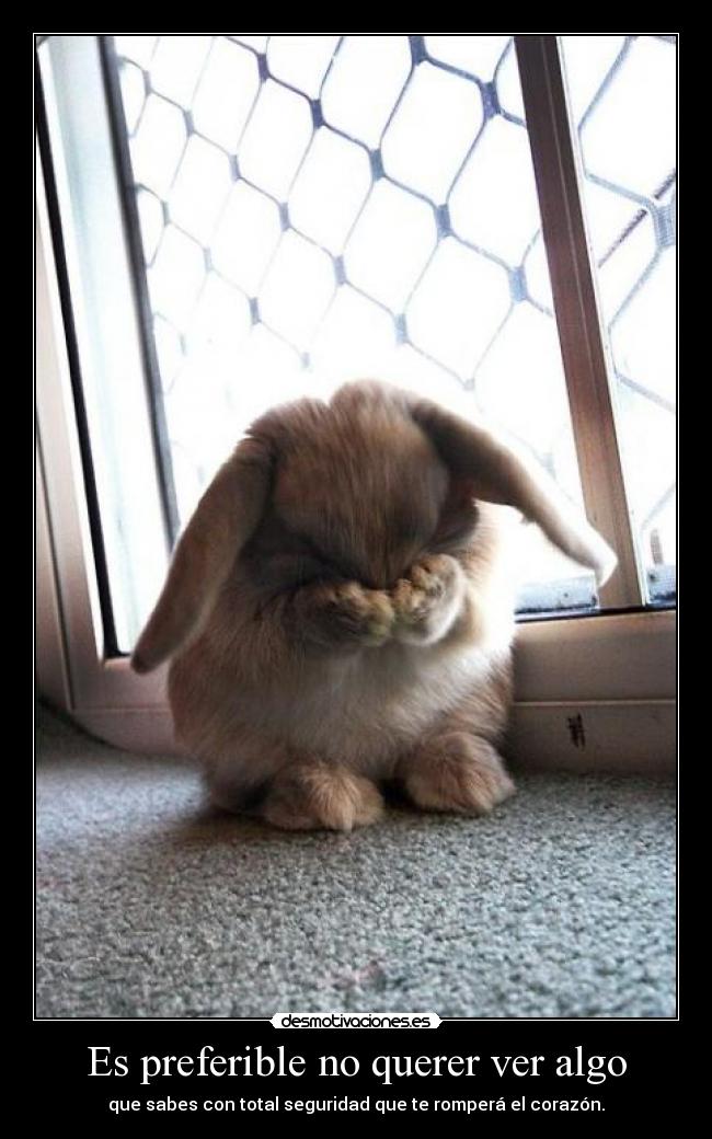 carteles adios desmotivaciones