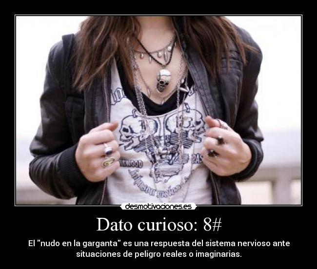 Dato curioso: 8# -