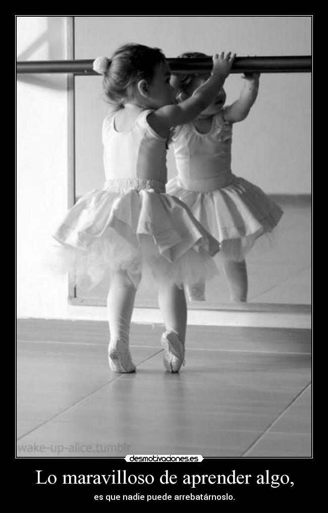 Lo maravilloso de aprender algo, -