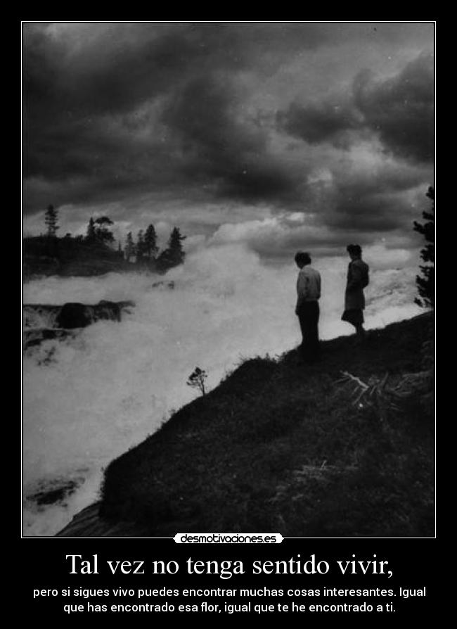 Tal vez no tenga sentido vivir, - pero si sigues vivo puedes encontrar muchas cosas interesantes. Igual
que has encontrado esa flor, igual que te he encontrado a ti.