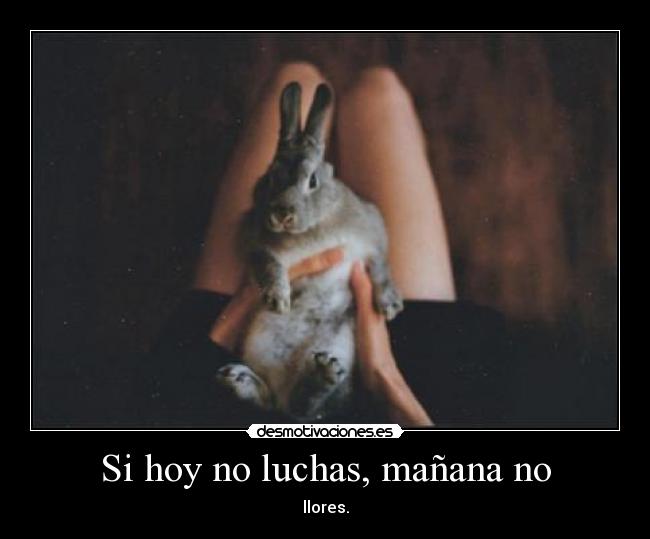 carteles por mitad desmotivaciones