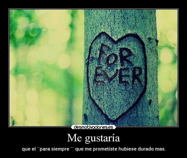 Me gustaría - que el ``para siempre ´´ que me prometiste hubiese durado mas.