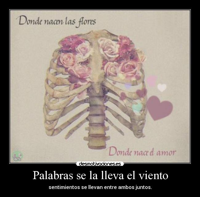 Palabras se la lleva el viento - sentimientos se llevan entre ambos juntos.