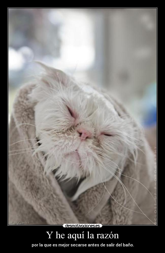 Y he aquí la razón - por la que es mejor secarse antes de salir del baño.