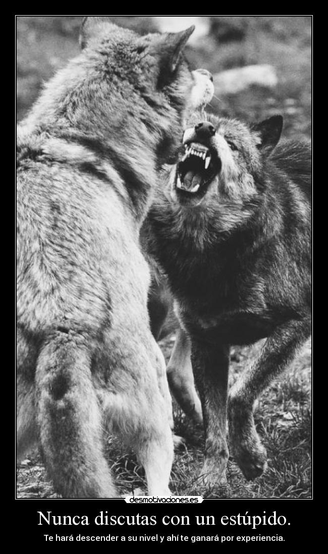 carteles rebajes desmotivaciones