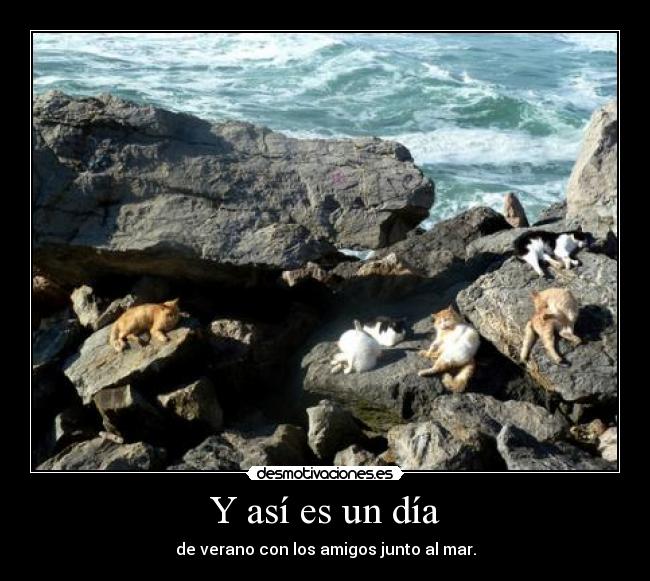 Y así es un día - de verano con los amigos junto al mar.