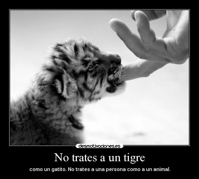 No trates a un tigre -