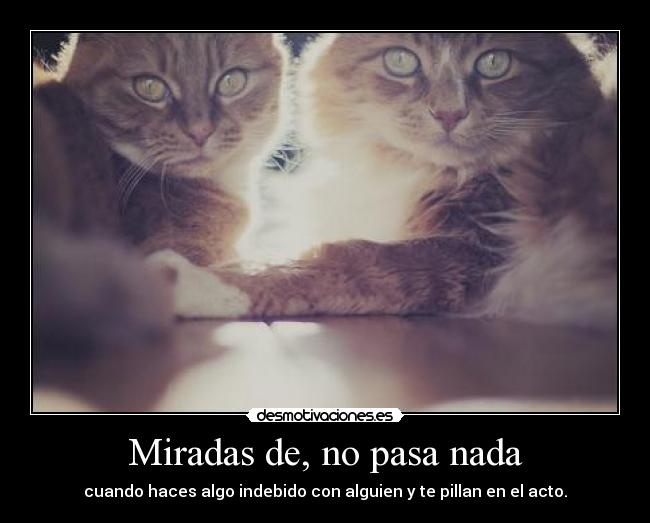 Miradas de, no pasa nada - cuando haces algo indebido con alguien y te pillan en el acto.