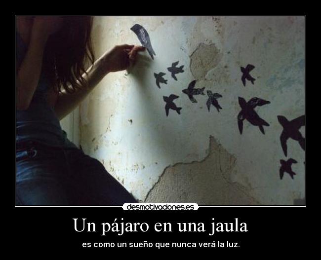 Un pájaro en una jaula - es como un sueño que nunca verá la luz.