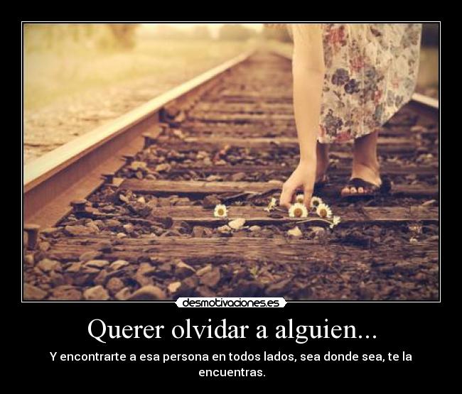 Querer olvidar a alguien... - Y encontrarte a esa persona en todos lados, sea donde sea, te la encuentras.