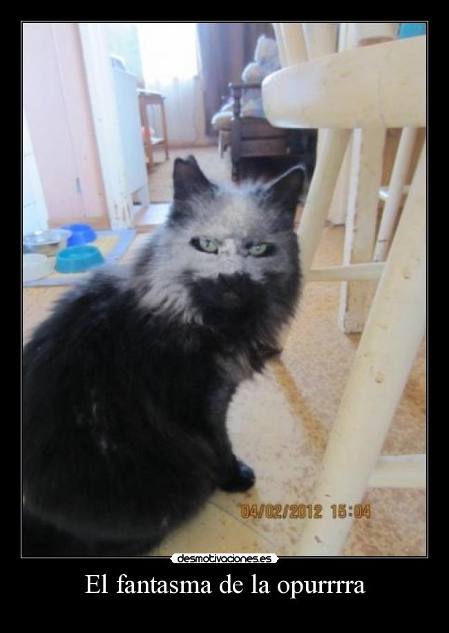 El fantasma de la opurrrra - 