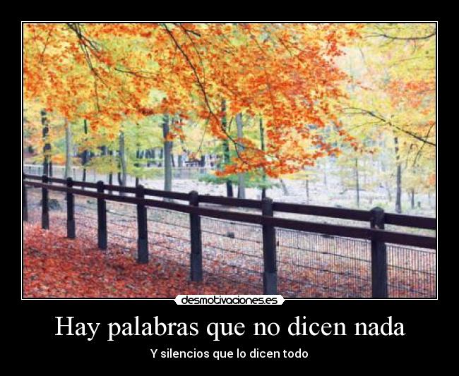 Hay palabras que no dicen nada - Y silencios que lo dicen todo