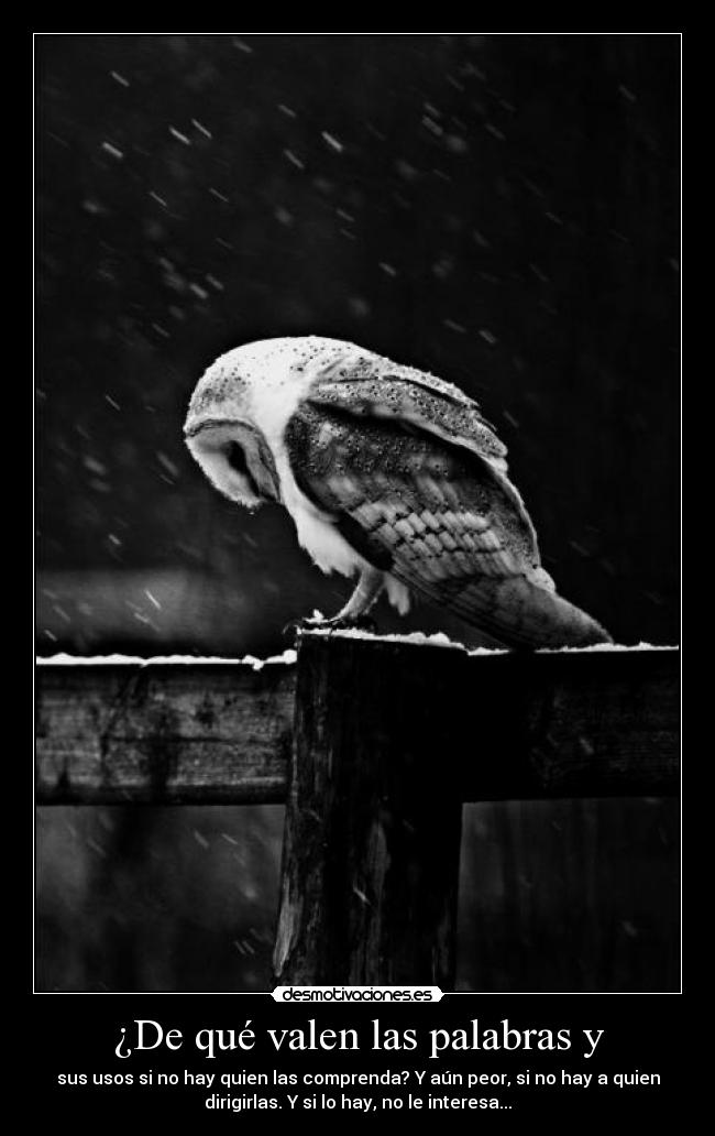 ¿De qué valen las palabras y -