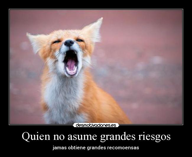 Quien no asume grandes riesgos -
