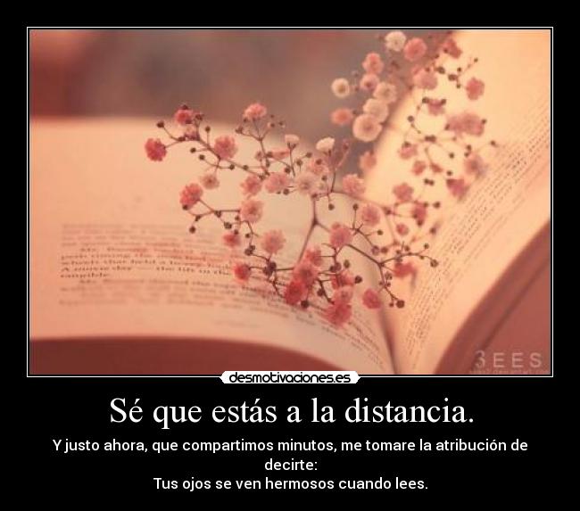 Sé que estás a la distancia. - Y justo ahora, que compartimos minutos, me tomare la atribución de decirte:
Tus ojos se ven hermosos cuando lees.