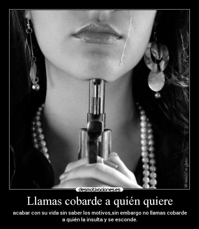 carteles sociedad mierda desmotivaciones