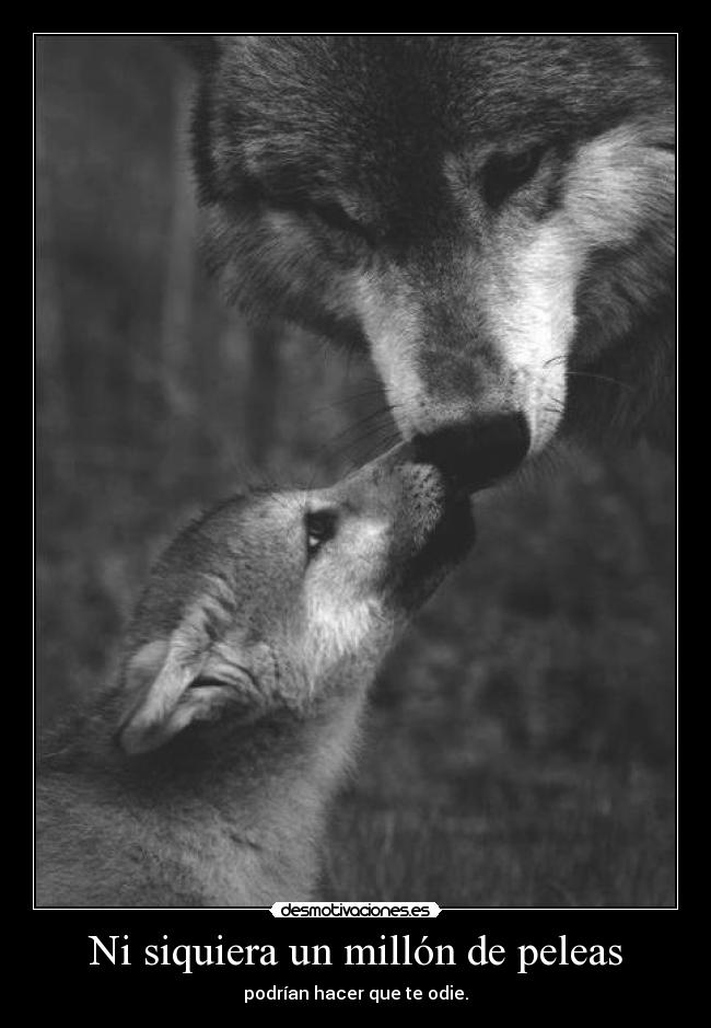 Ni siquiera un millón de peleas -