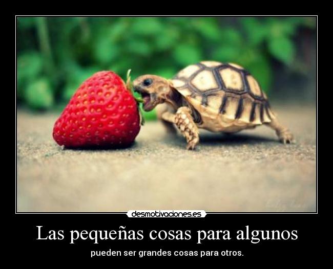 Las pequeñas cosas para algunos - pueden ser grandes cosas para otros.