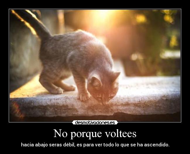 No porque voltees - hacia abajo seras débil, es para ver todo lo que se ha ascendido.