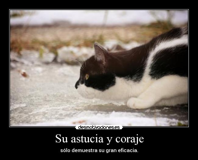 Su astucia y coraje - sólo demuestra su gran eficacia.