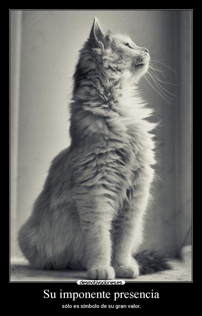 Su imponente presencia - sólo es símbolo de su gran valor.