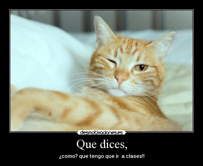 Que dices, - ¿como? que tengo que ir  a clases!!
