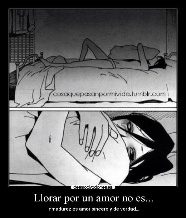Llorar por un amor no es... -