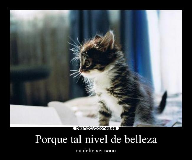 Porque tal nivel de belleza - 