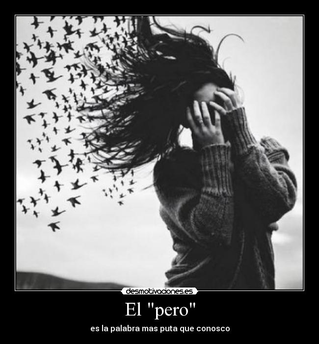 El pero -