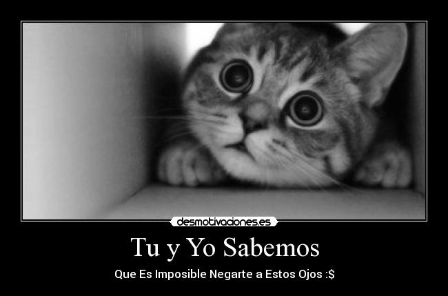 Tu y Yo Sabemos -