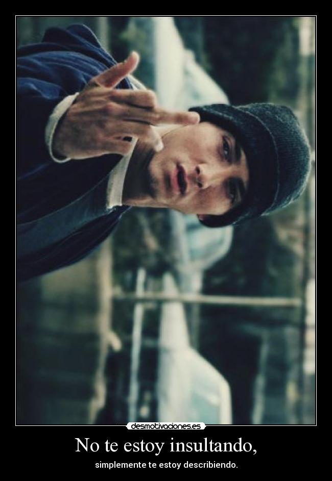 No te estoy insultando, - simplemente te estoy describiendo.