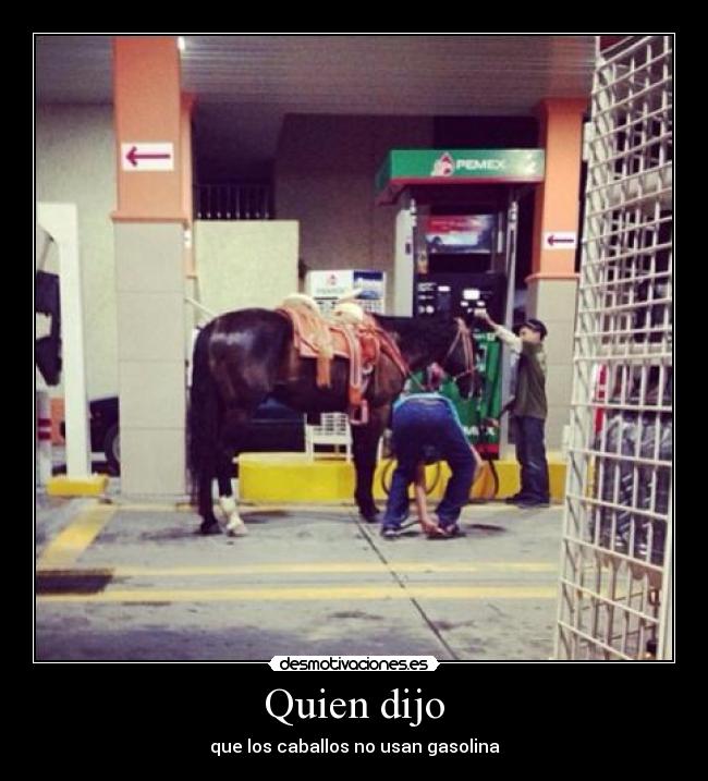 Quien dijo - que los caballos no usan gasolina