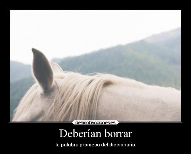 Deberían borrar - la palabra promesa del diccionario.