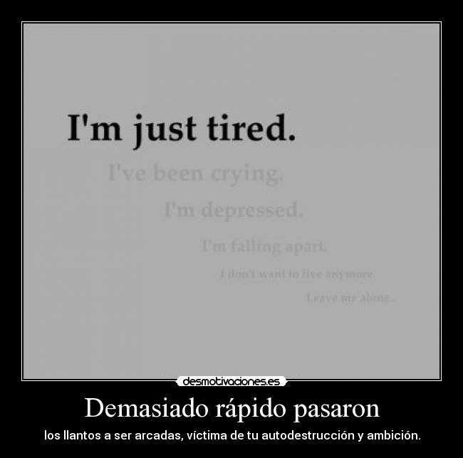 carteles soniavlc98red clantheblackcat sonia todo pasa por puta culpa eres una inutil mierda desmotivaciones