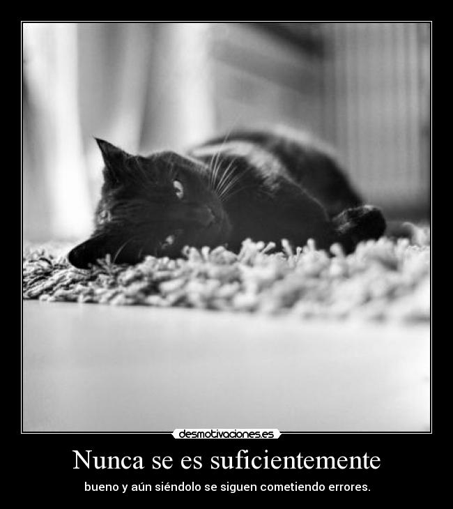 Nunca se es suficientemente - bueno y aún siéndolo se siguen cometiendo errores.