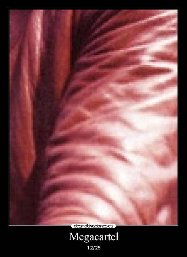 Megacartel - 12/25