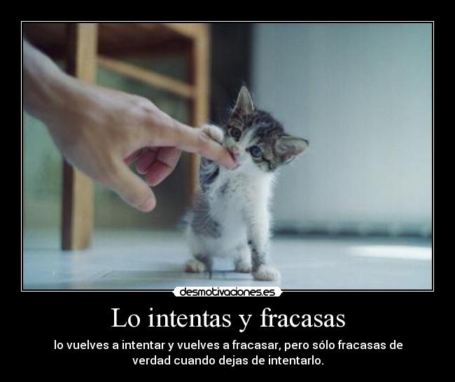 Lo intentas y fracasas - lo vuelves a intentar y vuelves a fracasar, pero sólo fracasas de
verdad cuando dejas de intentarlo.